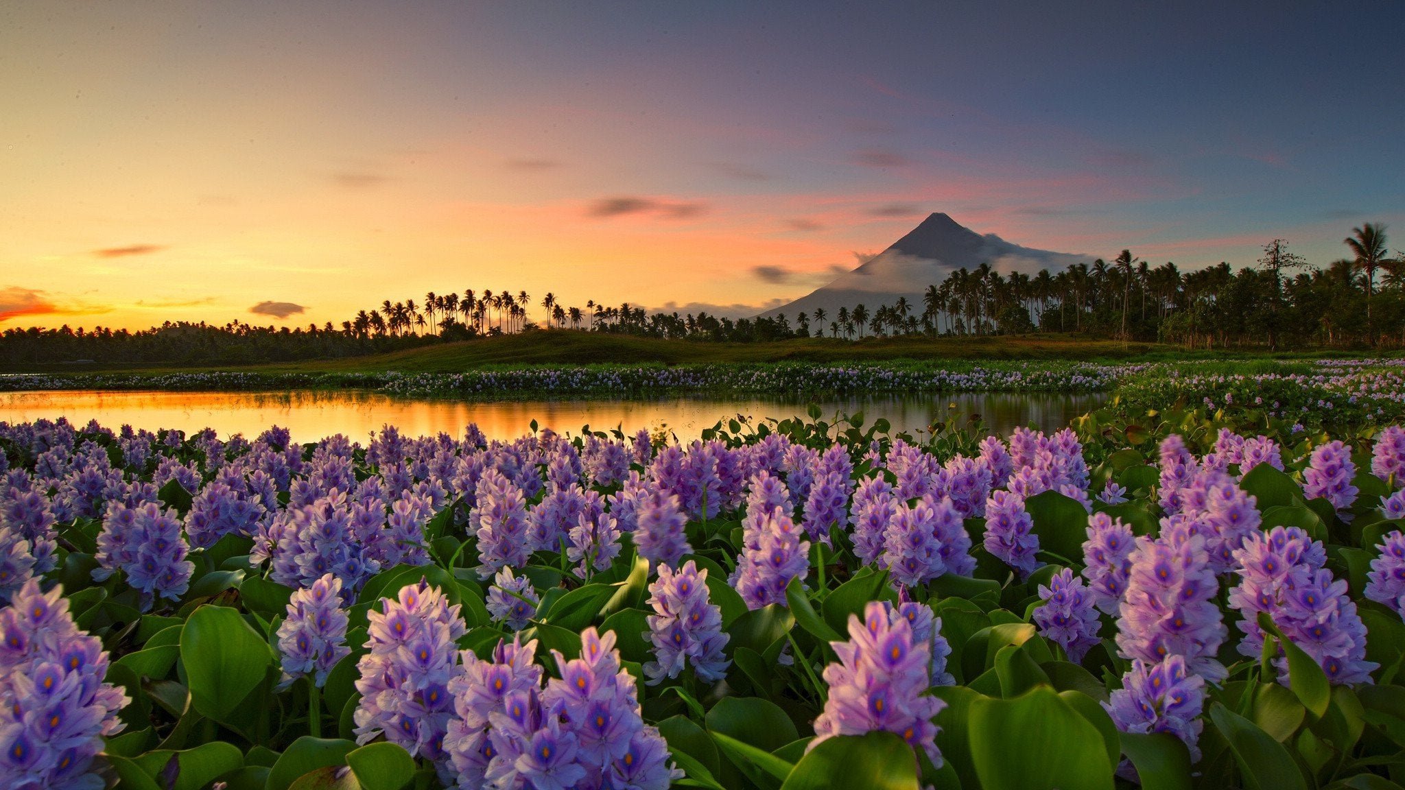 mayon volcano philippines travels natural wonder hd desktop