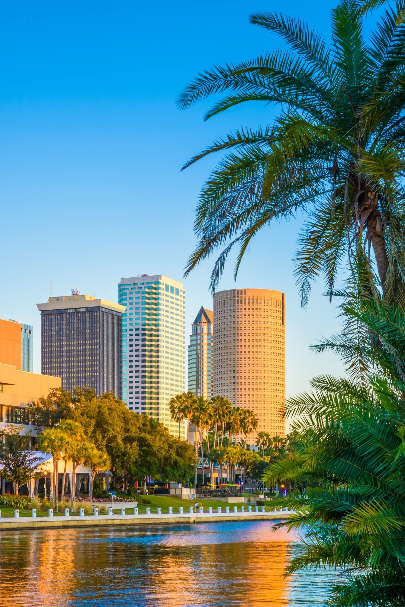 virtual tour of tampa online exploration florida cityscape travel from home hd phone