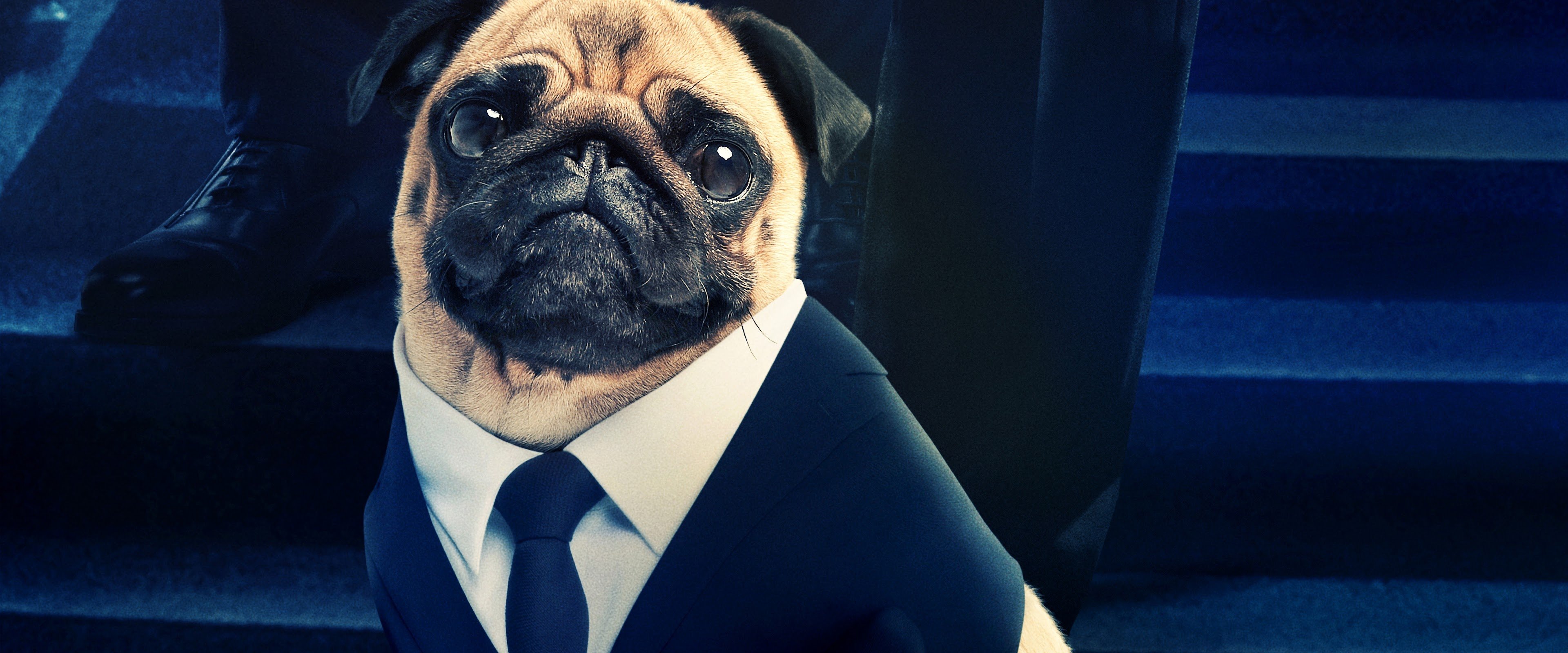 men in black international frank the pug 8k wallpaper alien companion dual screen desktop