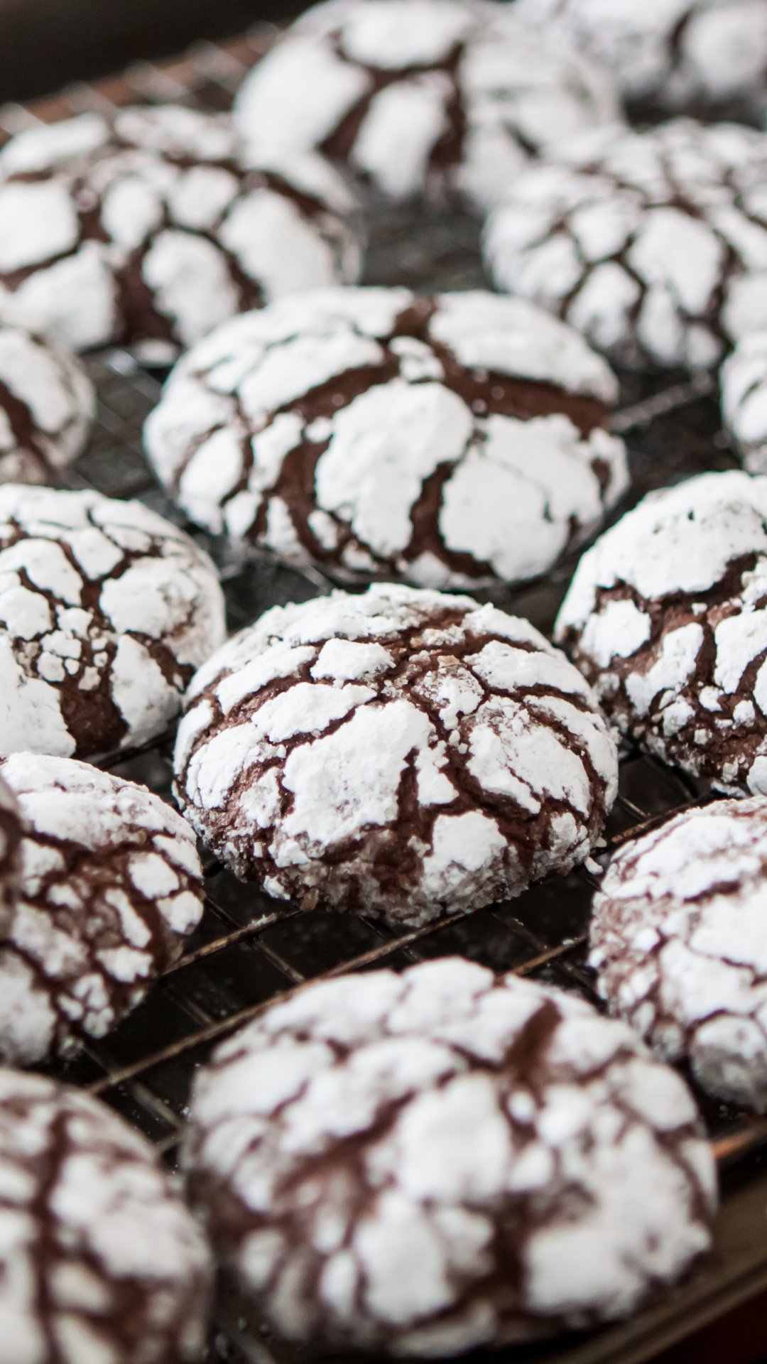 beautiful desktop wallpaper high-resolution biscuit image versatile biscuit visuals device-friendly full hd phone
