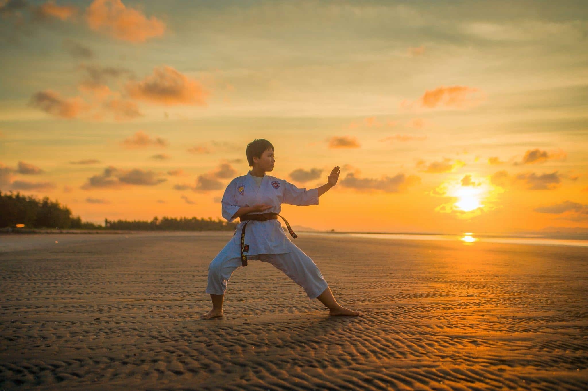 best martial art speeli effective self-defense training techniques hd desktop