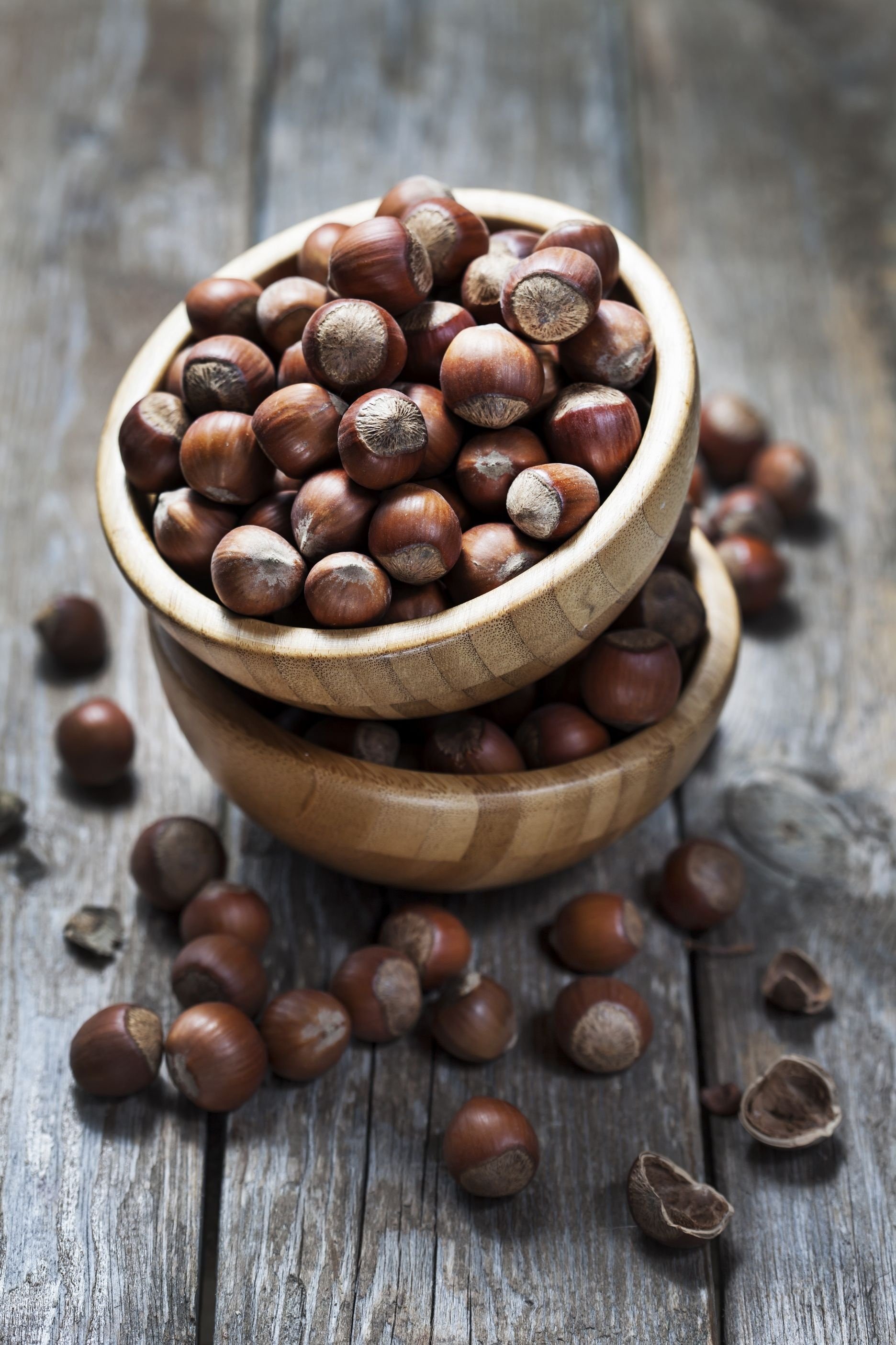 hazelnuts wallpaper delight nutty admiration picture perfect hd phone