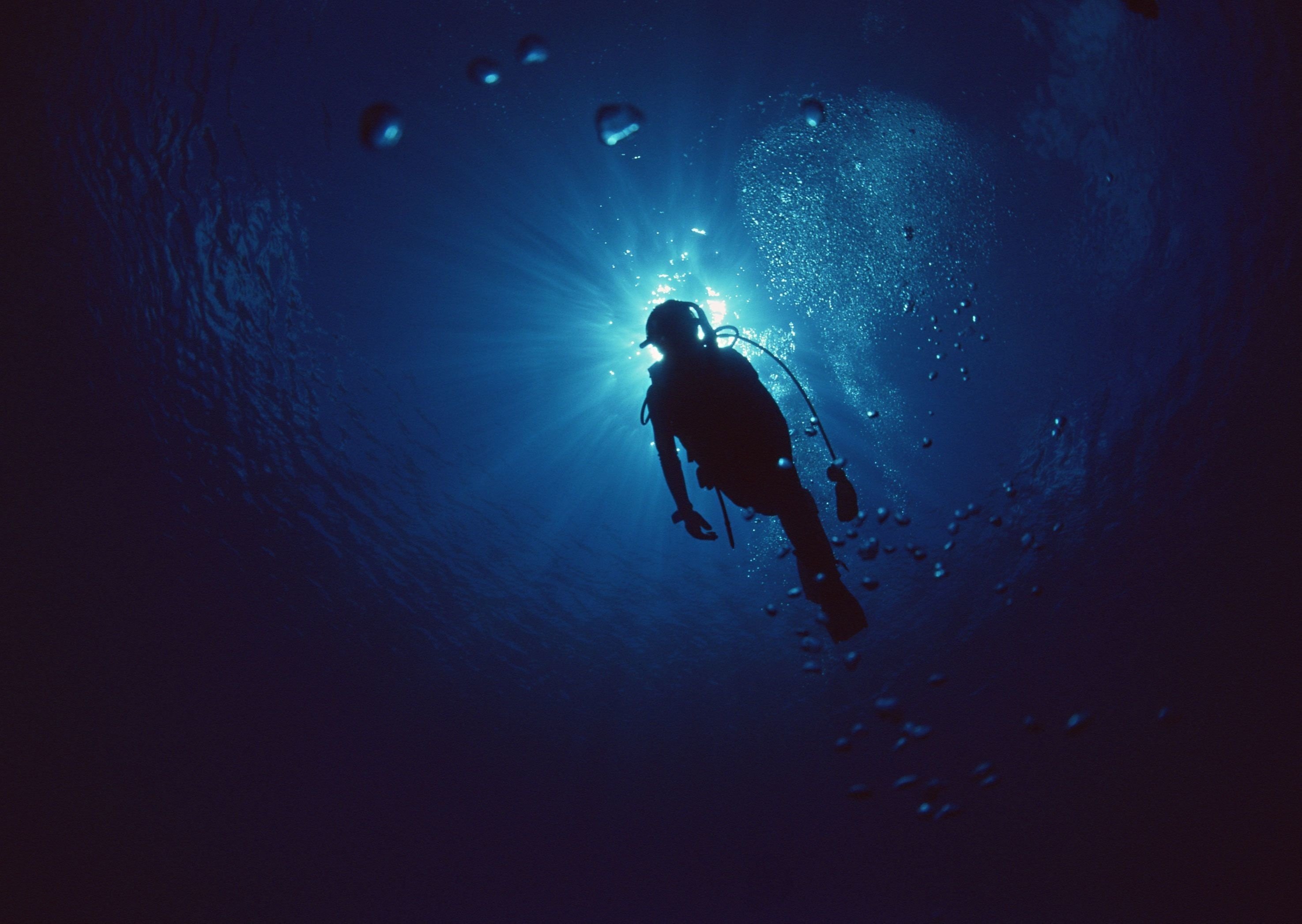 online scuba diving wallpapers great discounts diving scenes underwater beauty hd desktop
