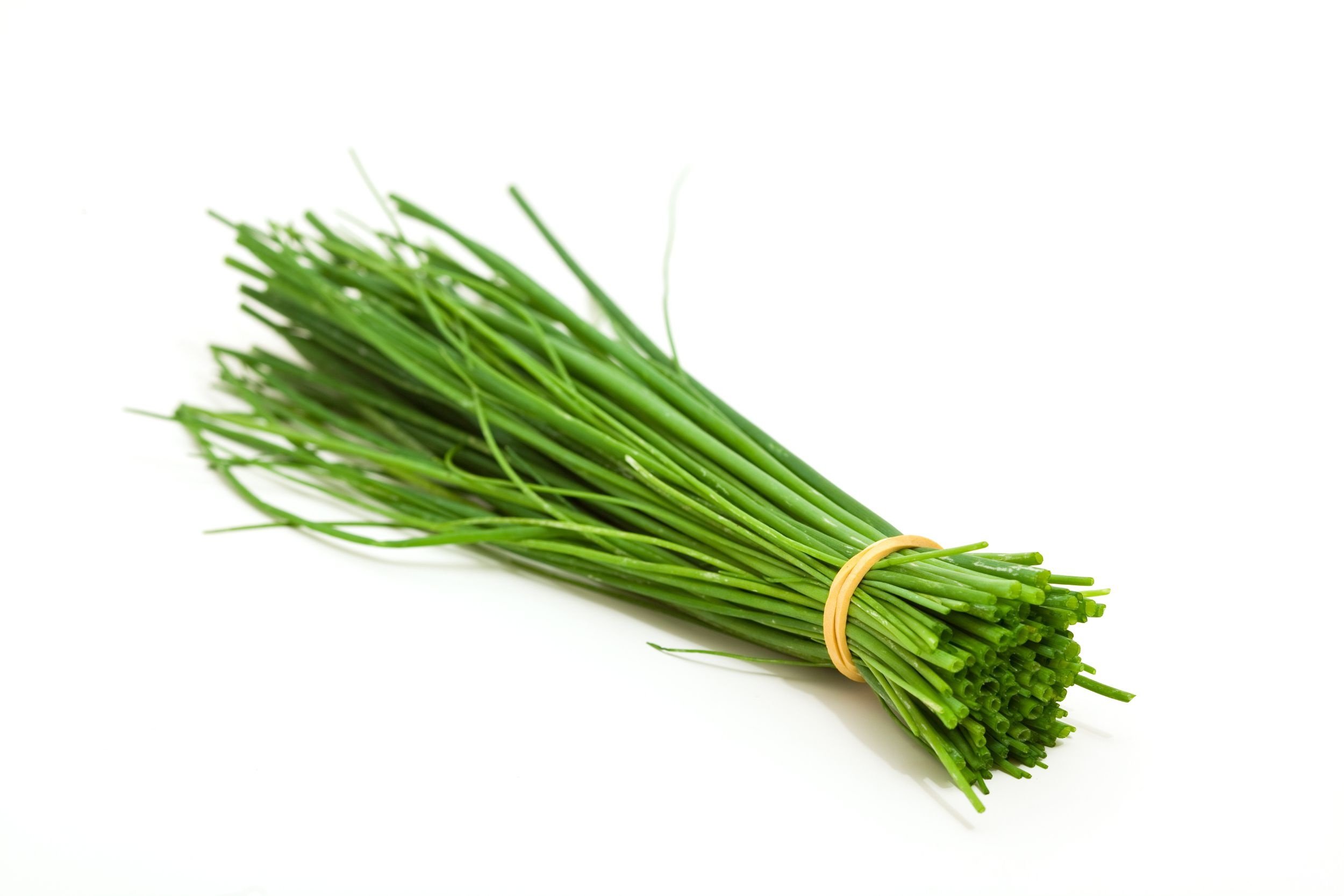 bunch of chives albatross market fresh herbs food hd desktop