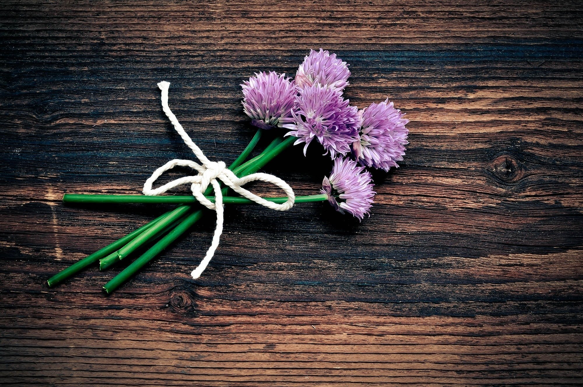 purple chives flower free image peakpx allium schoenoprasum hd desktop