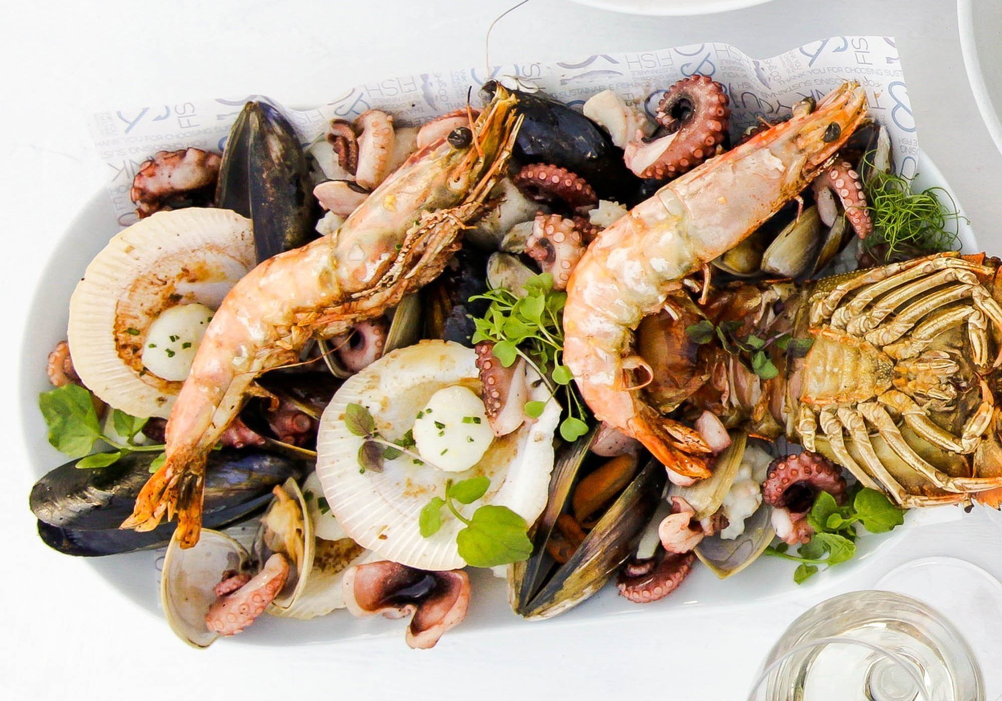 fish & co sustainable seafood cafe articles fresh oceanic delicacies hd desktop