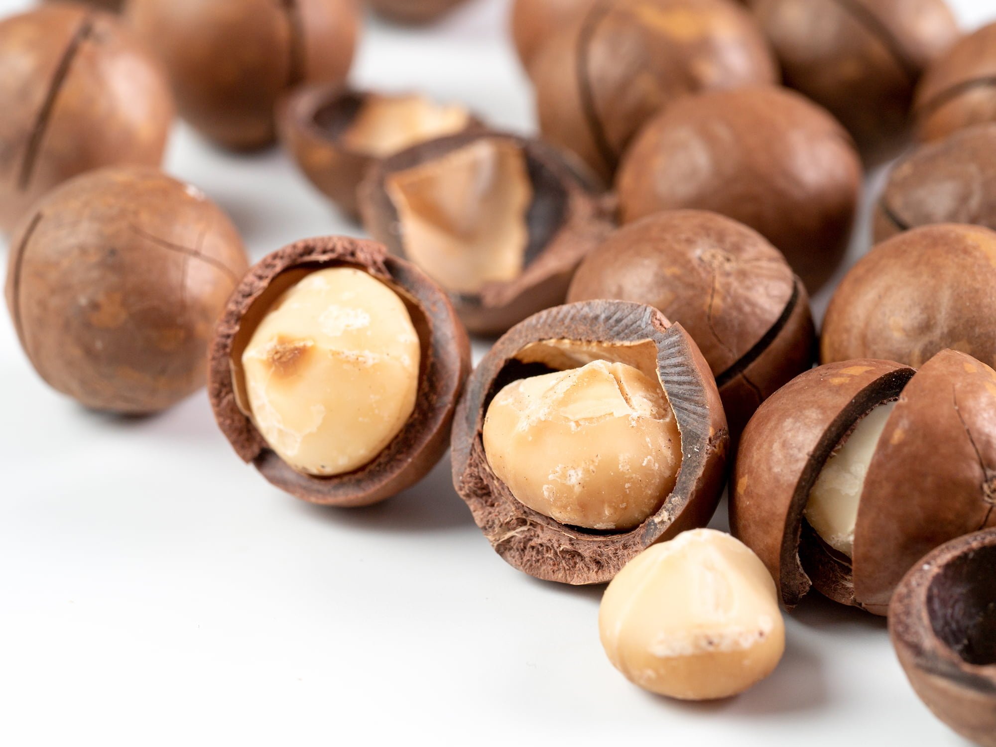 macadamias golden macadamias south africa tomra hd desktop