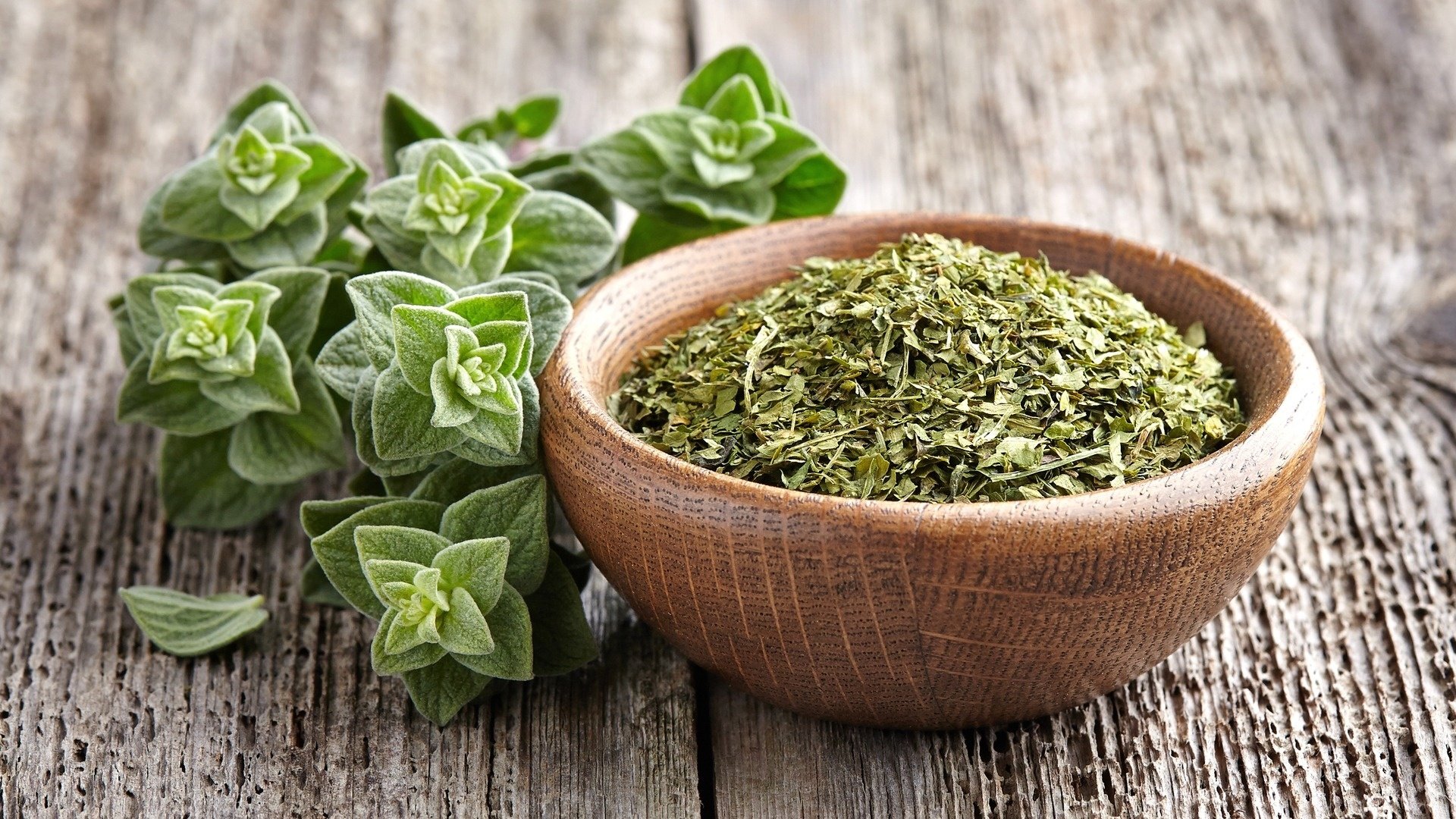 archaeology of herbs oregano spices chefs mandala culinary exploration full hd desktop