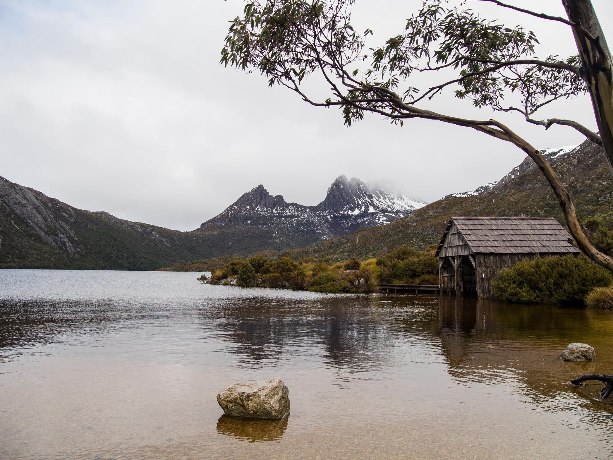 lake saint clair cradle mountain dove lake circuit national park adventure hd desktop