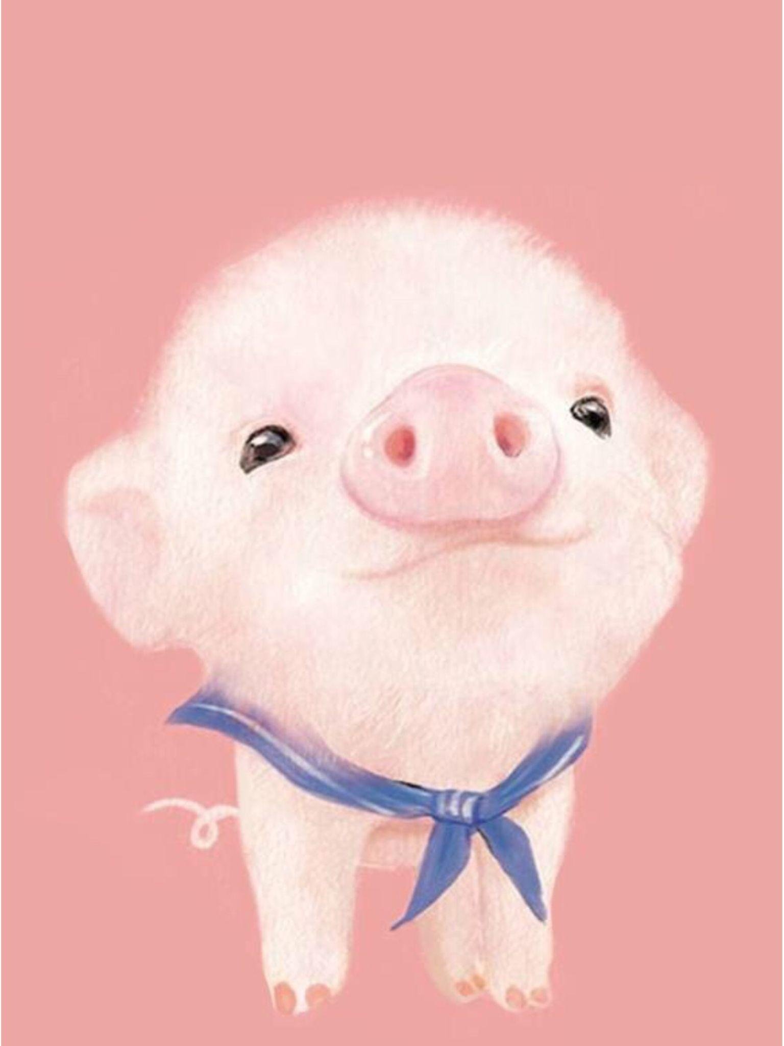 curious piggy farm animal cuteness pink snouts playful oinks hd phone