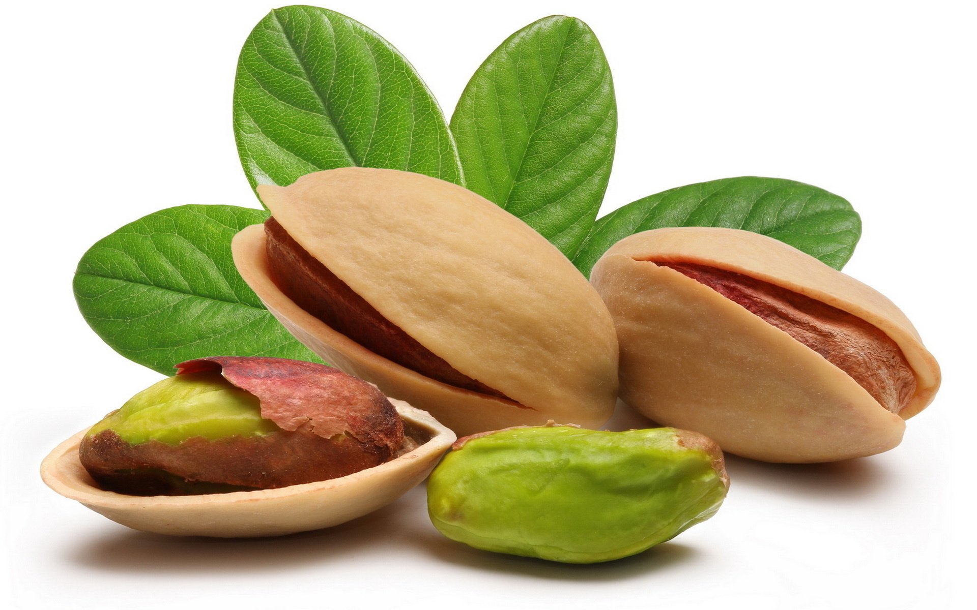 pistachio wallpapers free backgrounds nutty delight food hd desktop