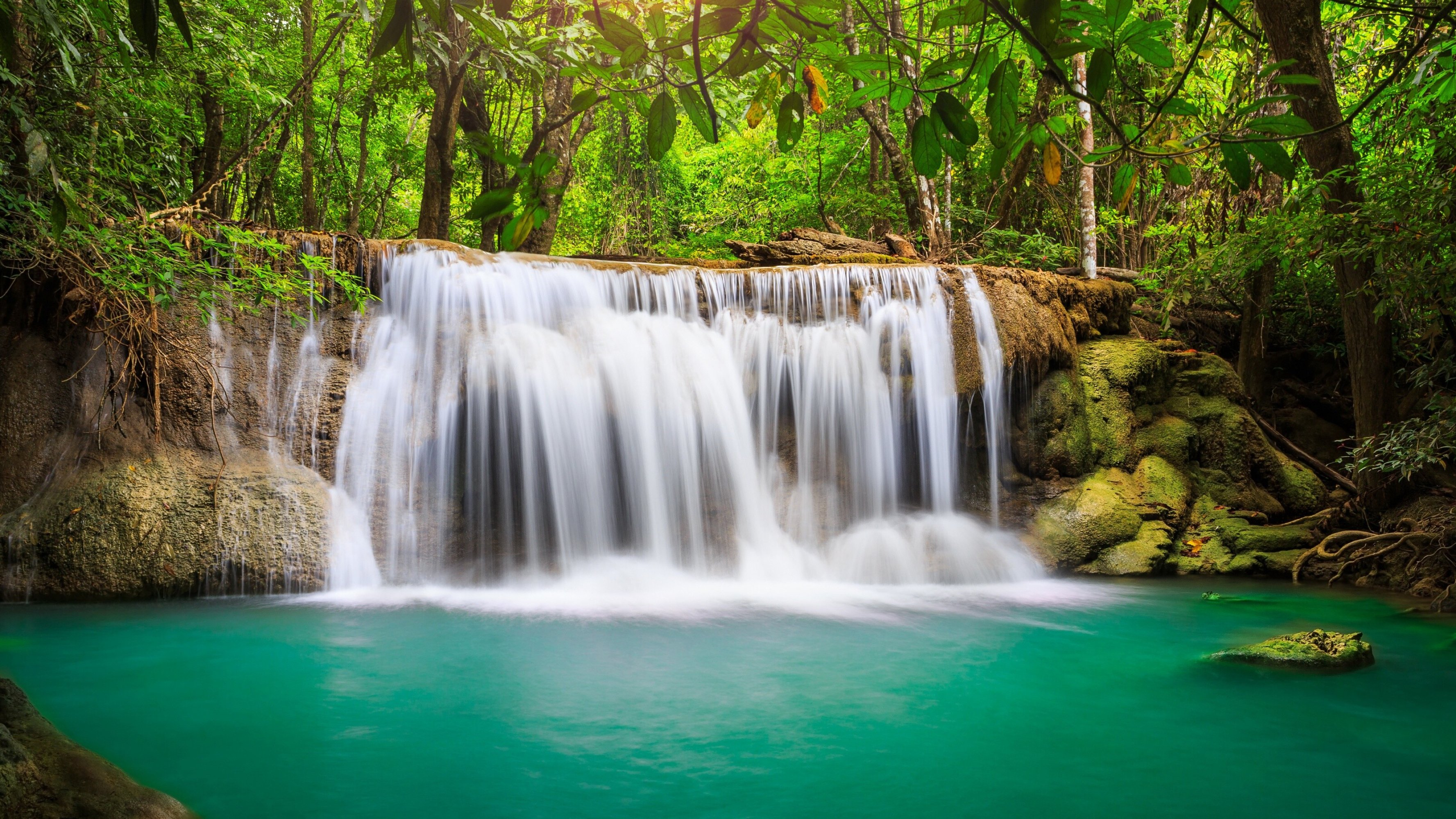 captivating waterfalls rainforest oasis tranquil surroundings relaxing atmosphere hd desktop