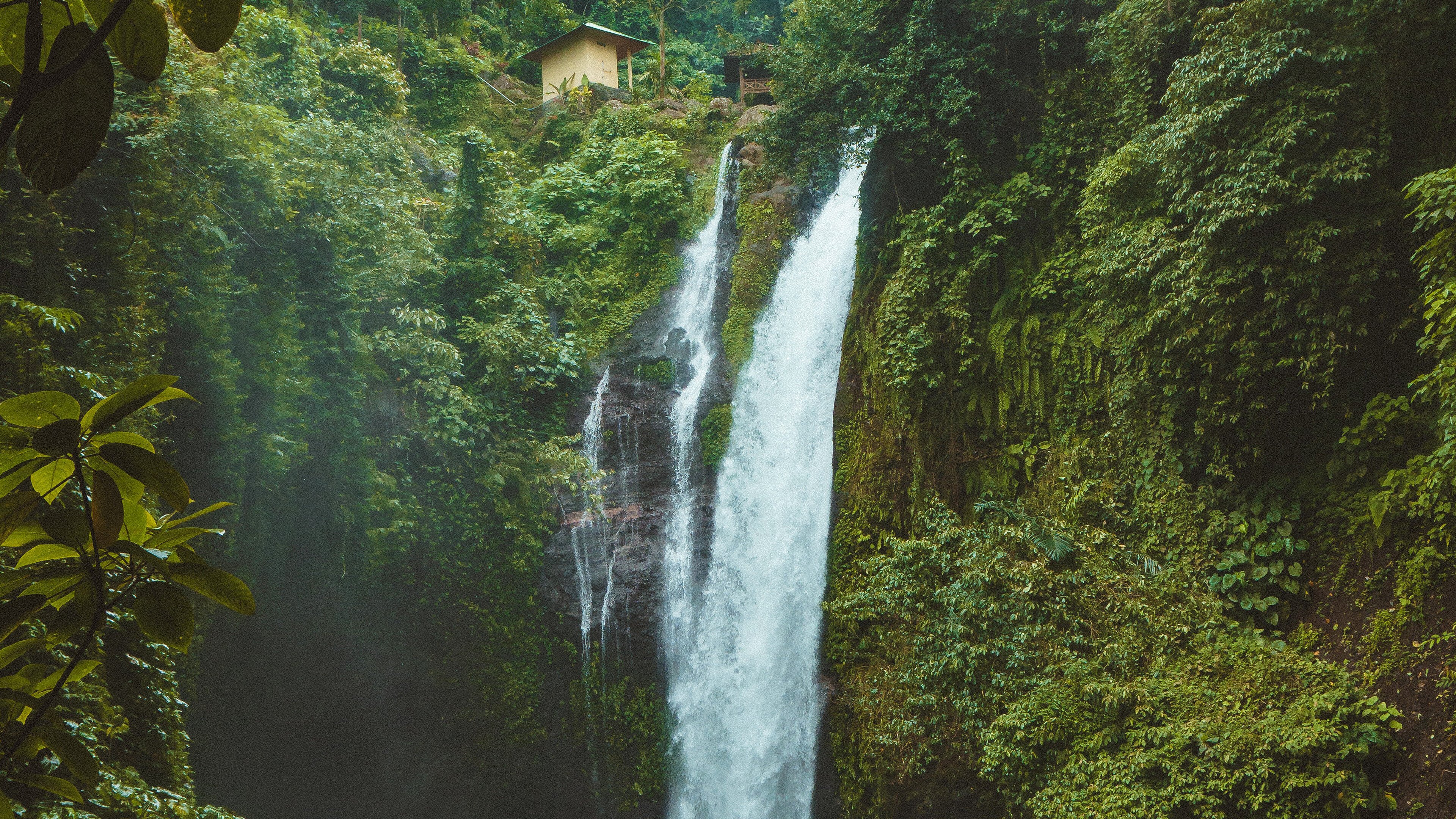 aling aling rainforests wallpaper 4k desktop