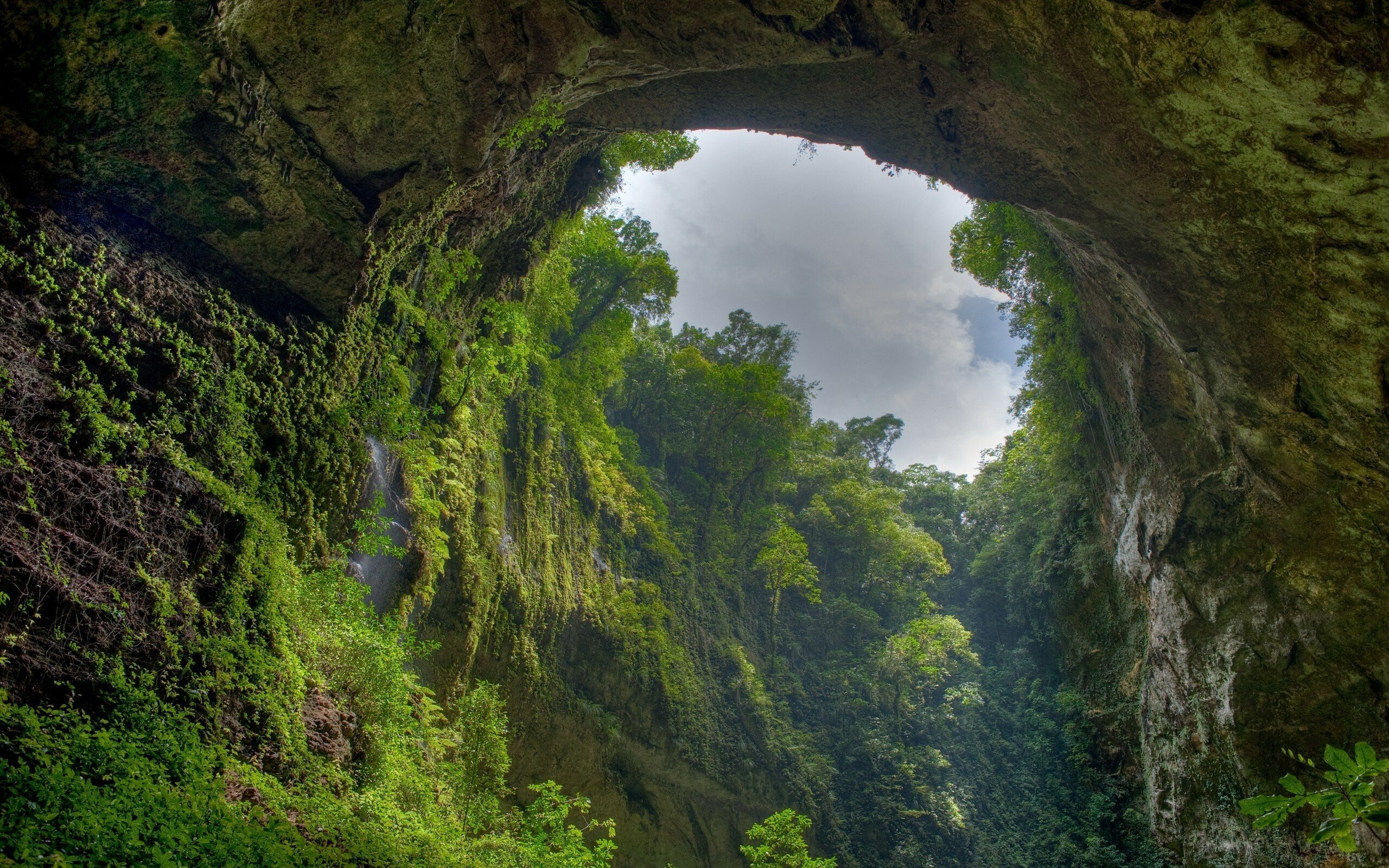 el yunque rainforests wallpaper hd desktop