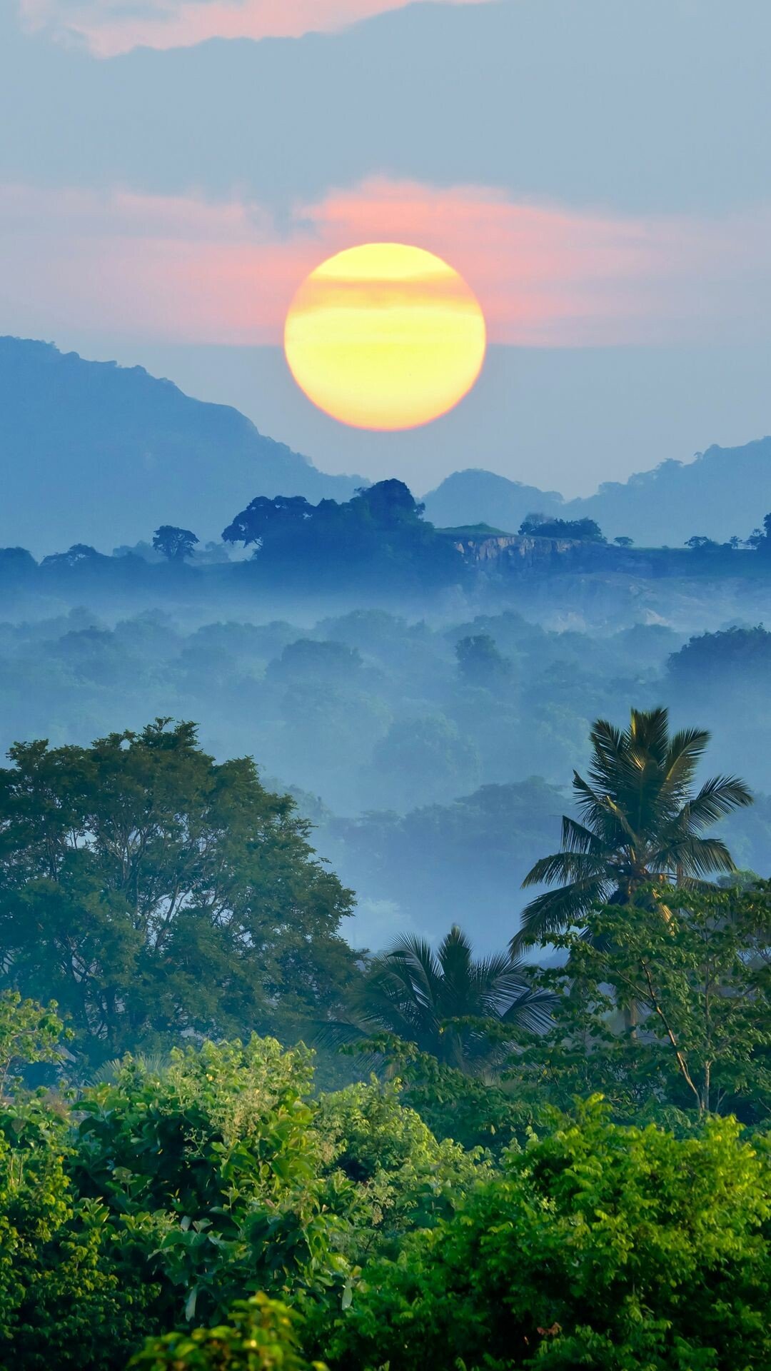 lush greenery exotic wildlife tropical paradise nature's wonders full hd phone