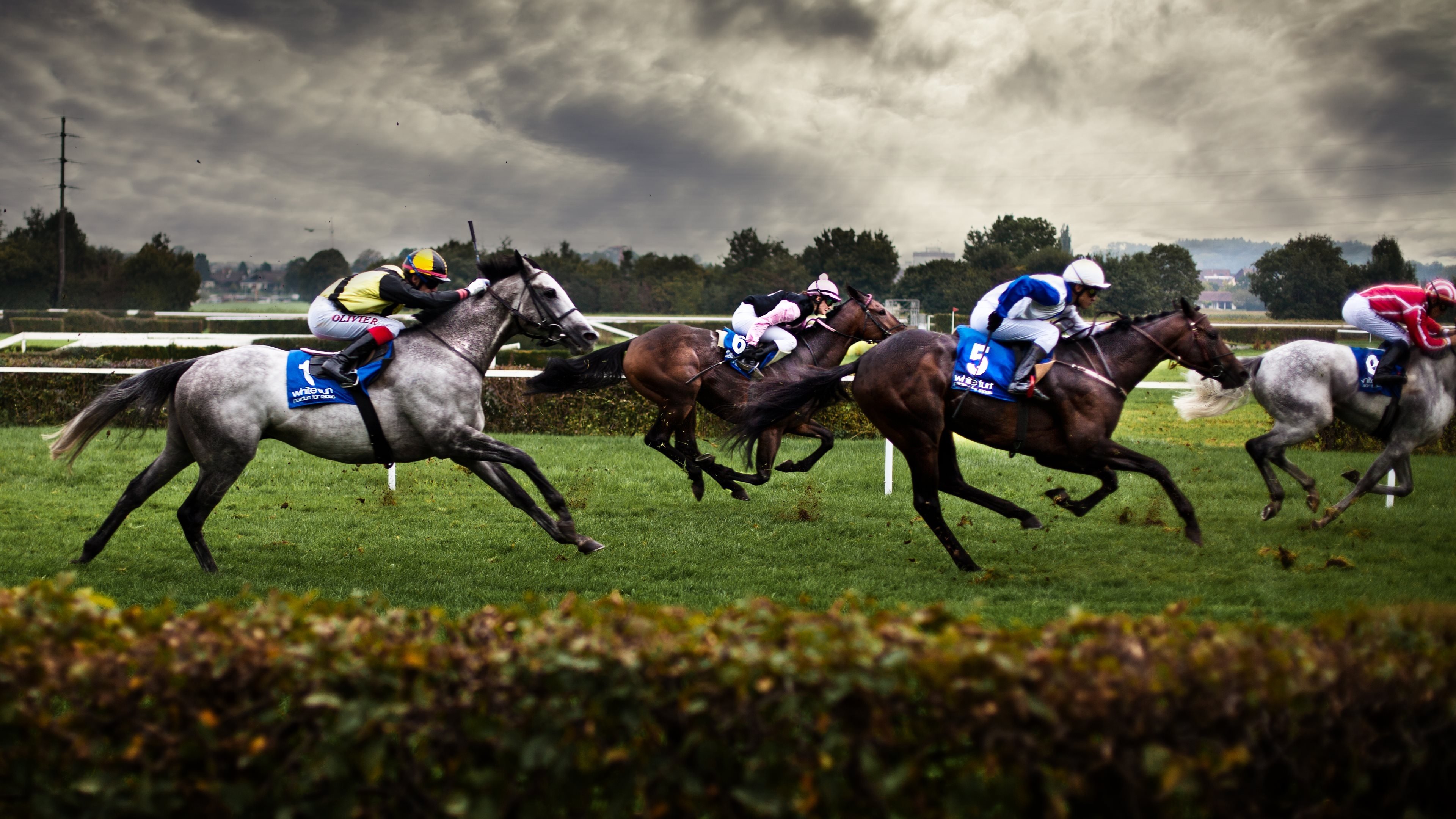 horse racing equestrian sports wallpaper 4k desktop
