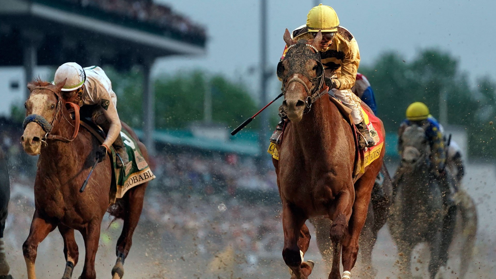 kentucky derby wallpaper michelle tremblay full hd desktop