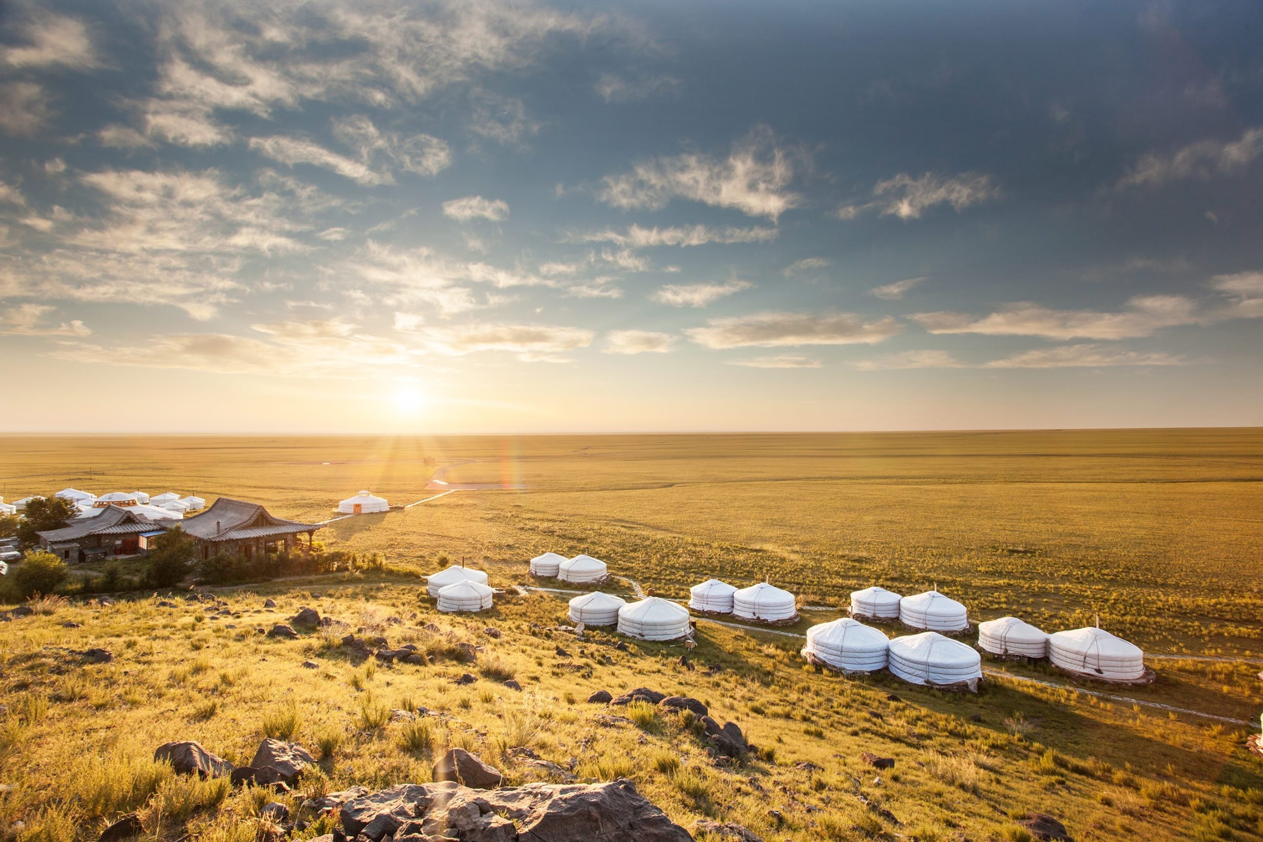 three camel lodge mongolia wallpaper hd desktop