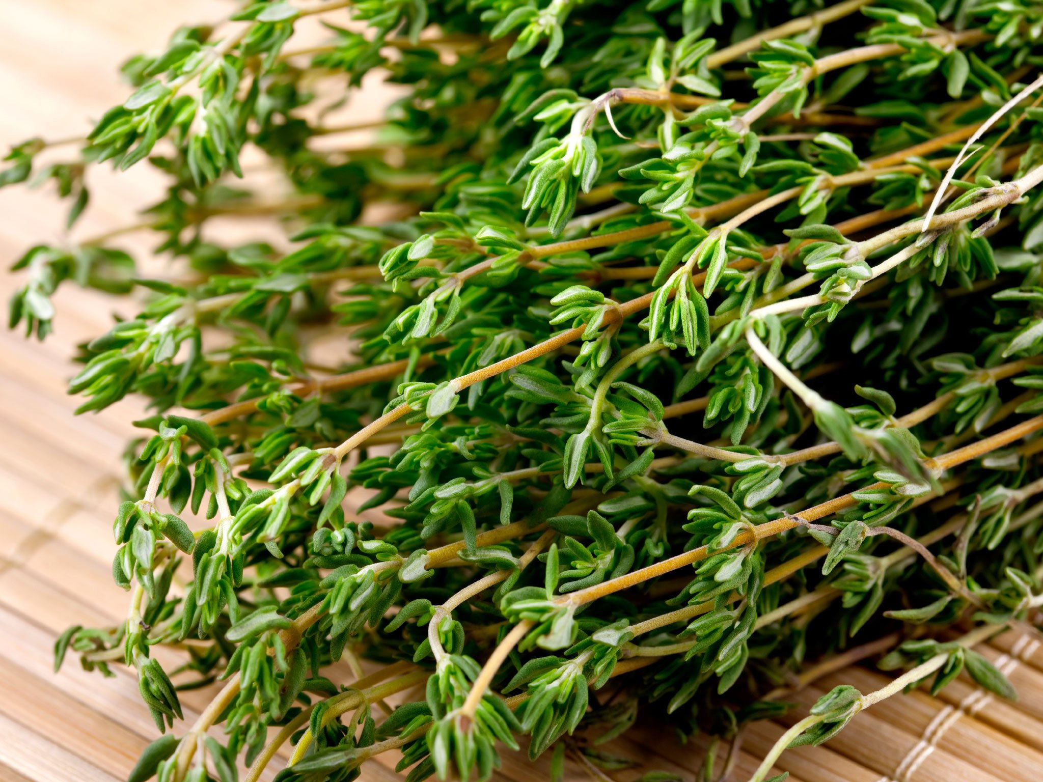 fresh thyme herb aromatic spice essential seasoning pakistani cuisine hd desktop