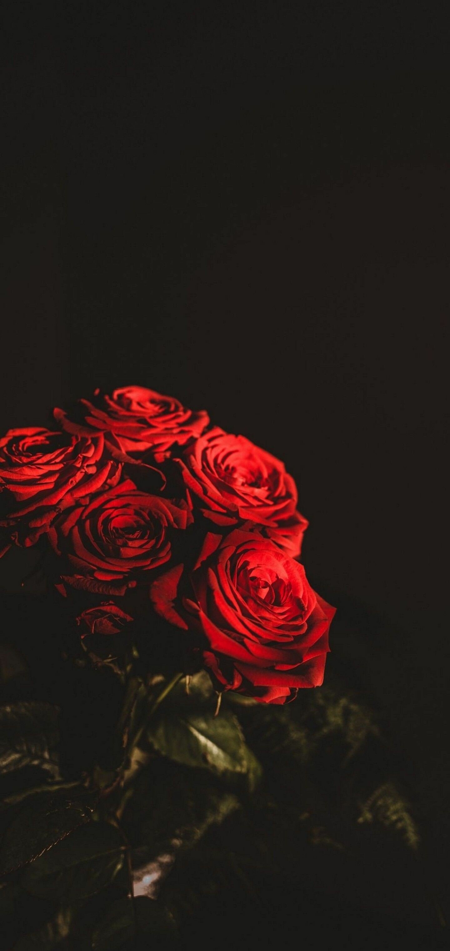 flower bouquet dark wallpapers mysterious beauty intriguing colors hd phone