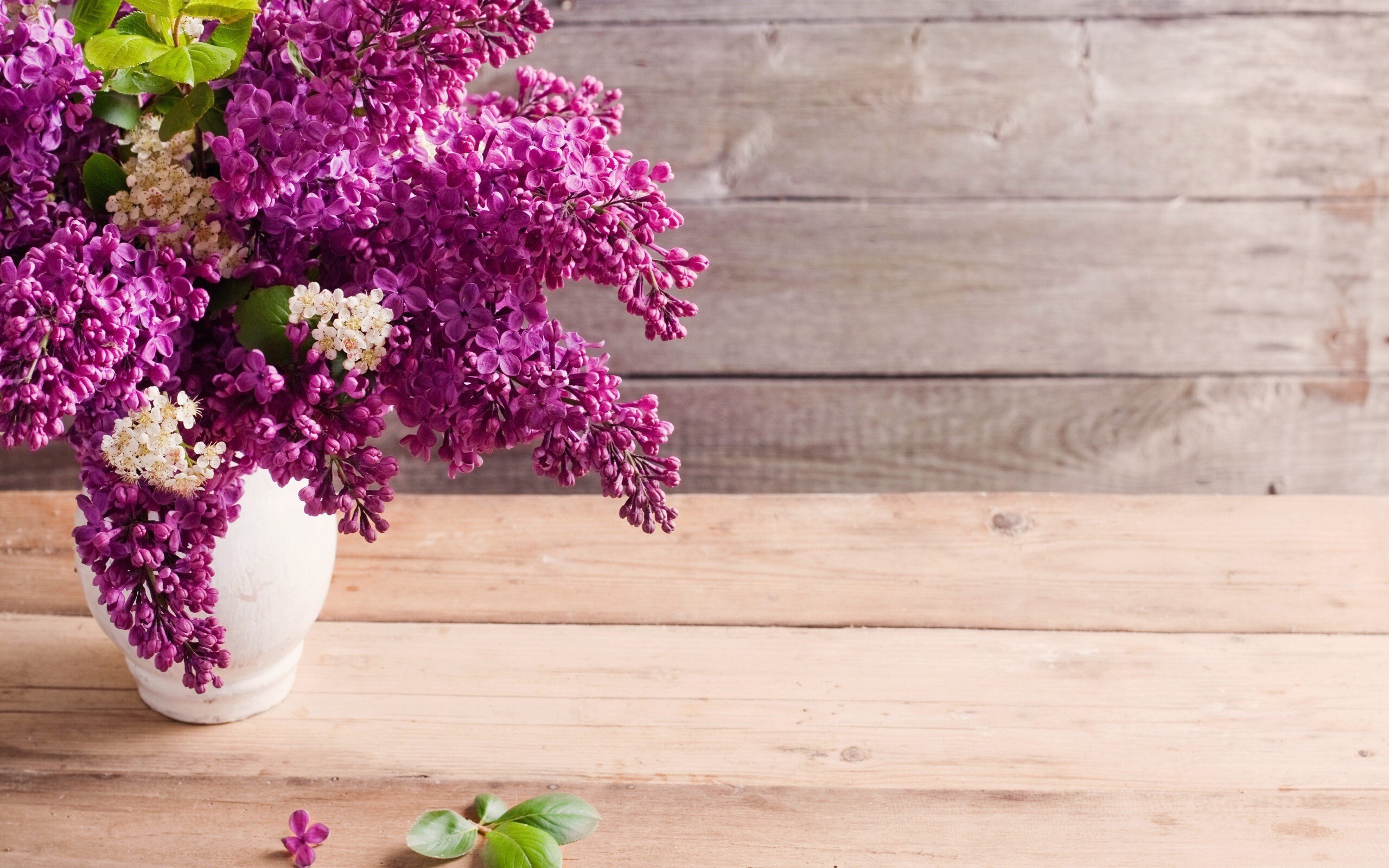 lilacs flower bouquet wallpaper hd desktop