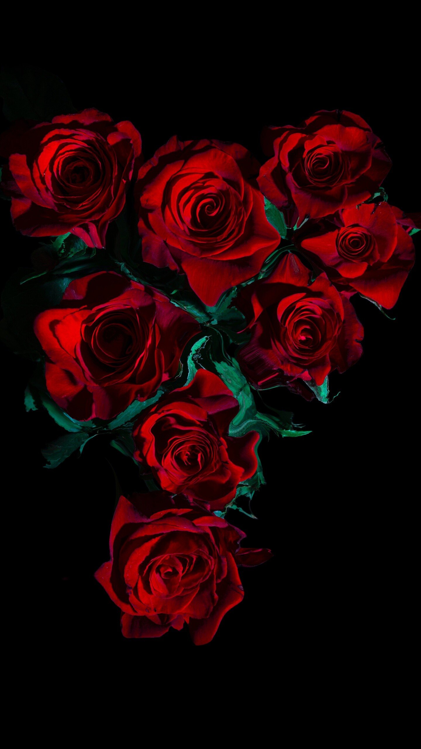red roses flower bouquet black background 5k resolution hd phone