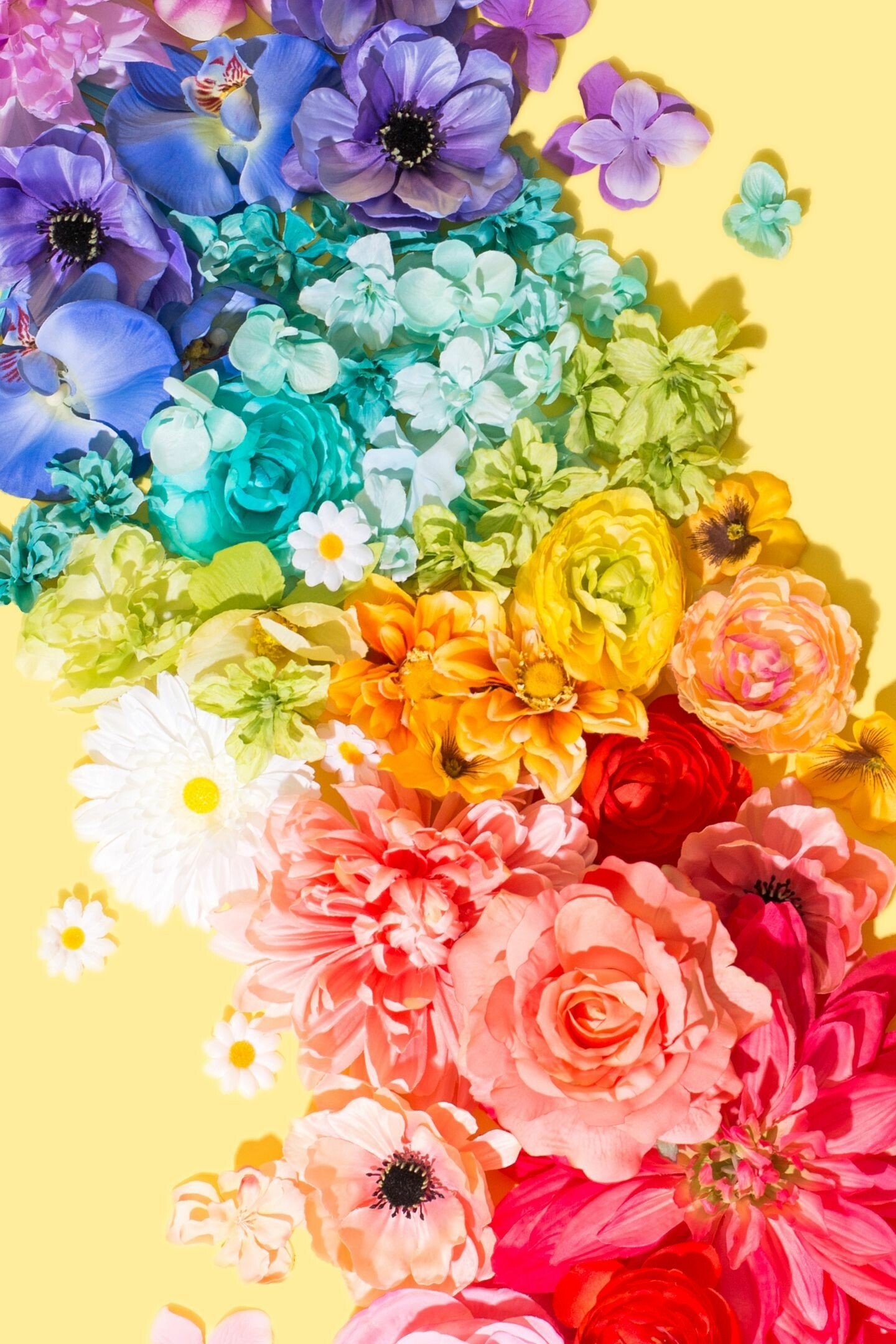 colorful flowers nature's beauty vibrant bouquets iphone backgrounds hd phone
