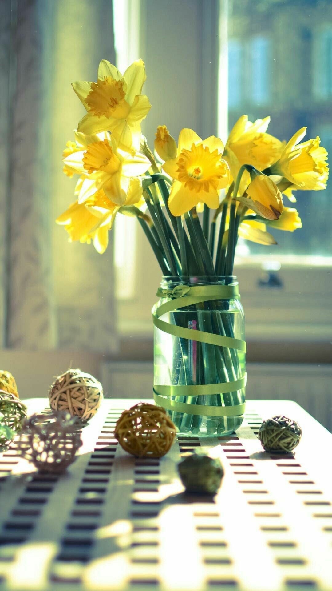 daffodils flower bouquet wallpaper full hd phone