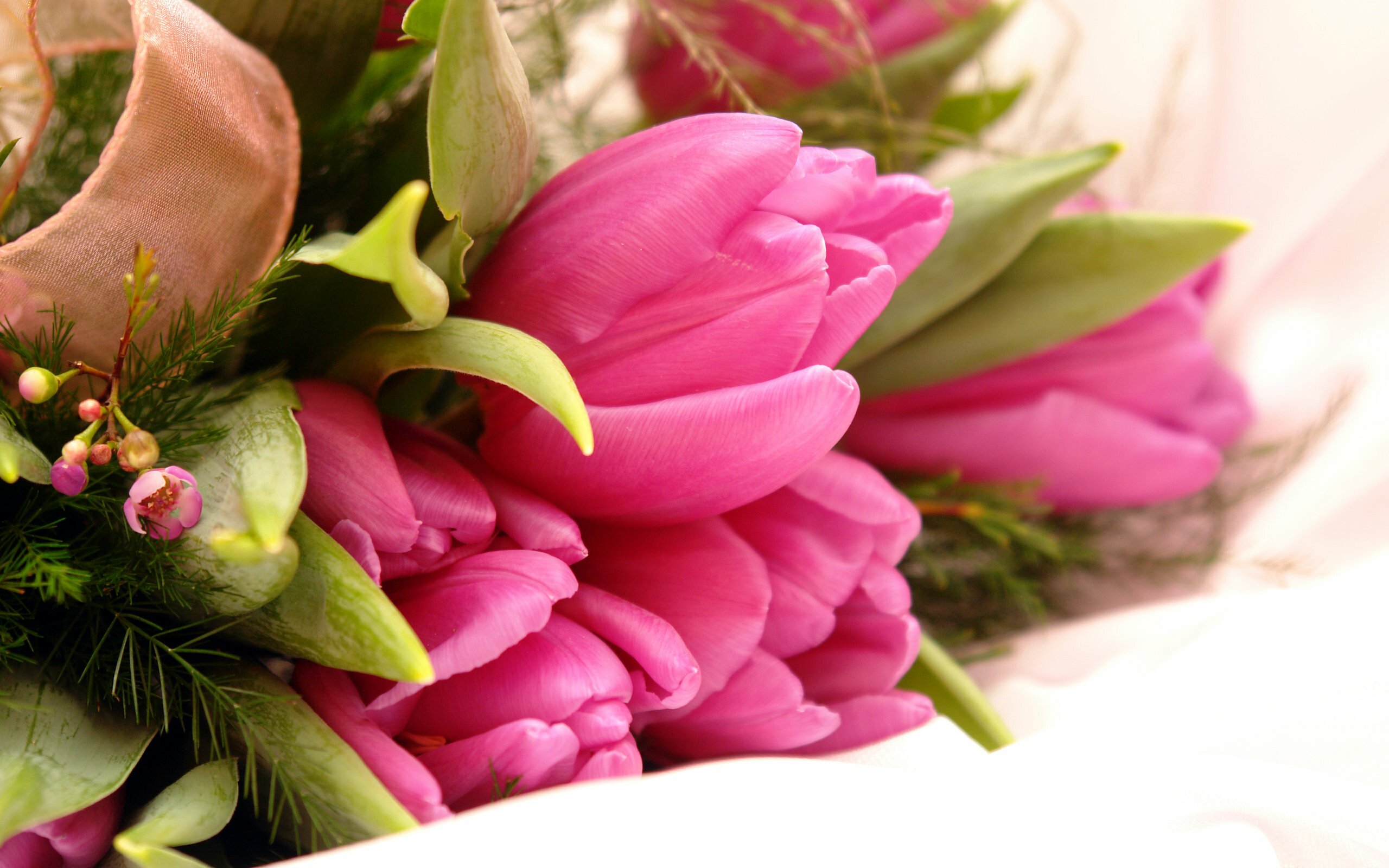 fancy pink flowers hd wallpapers desktop mobile and tablet friendly hd desktop