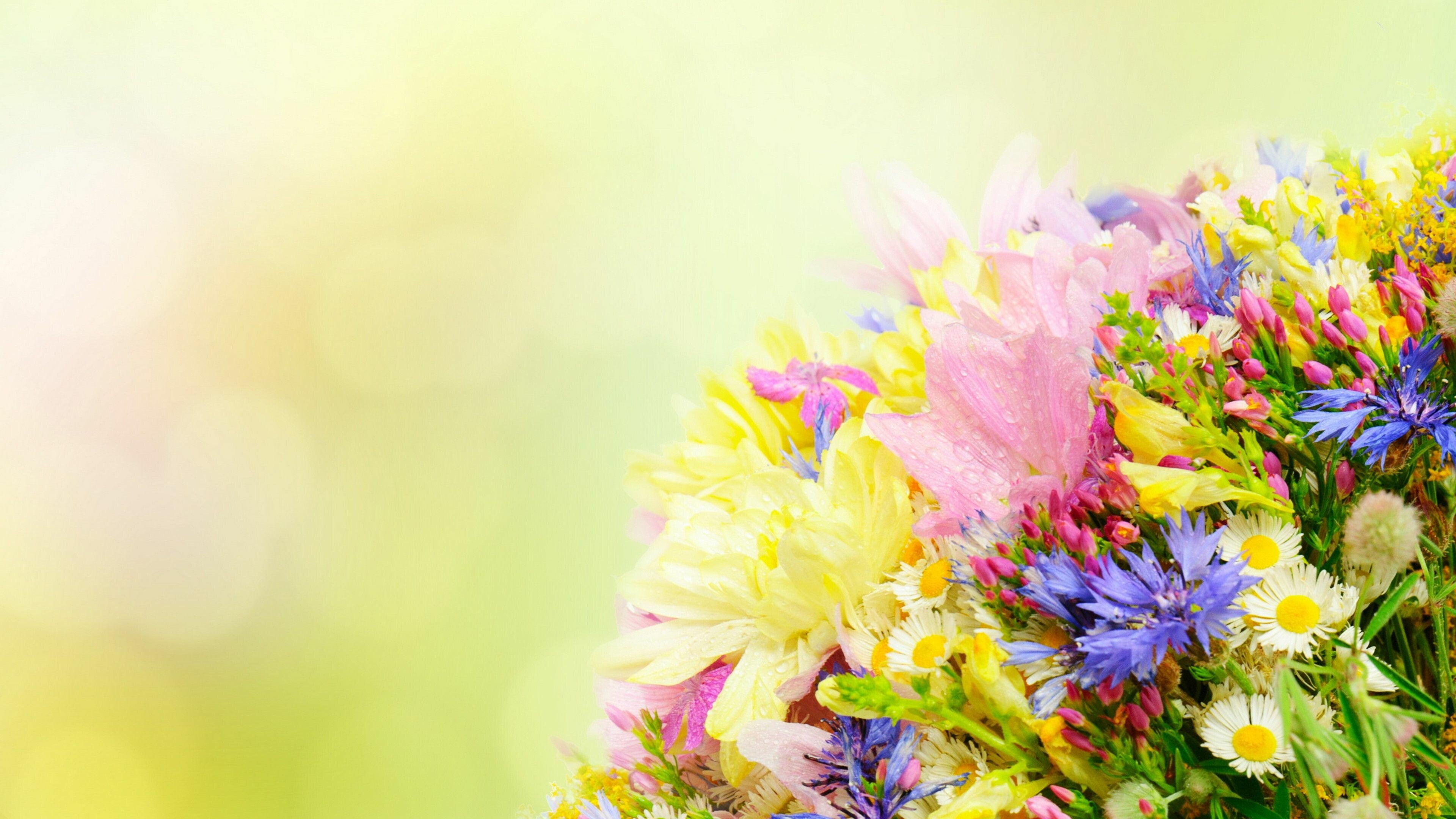 flower bouquet spring bouquet wallpapers fresh blossoms floral beauty 4k desktop