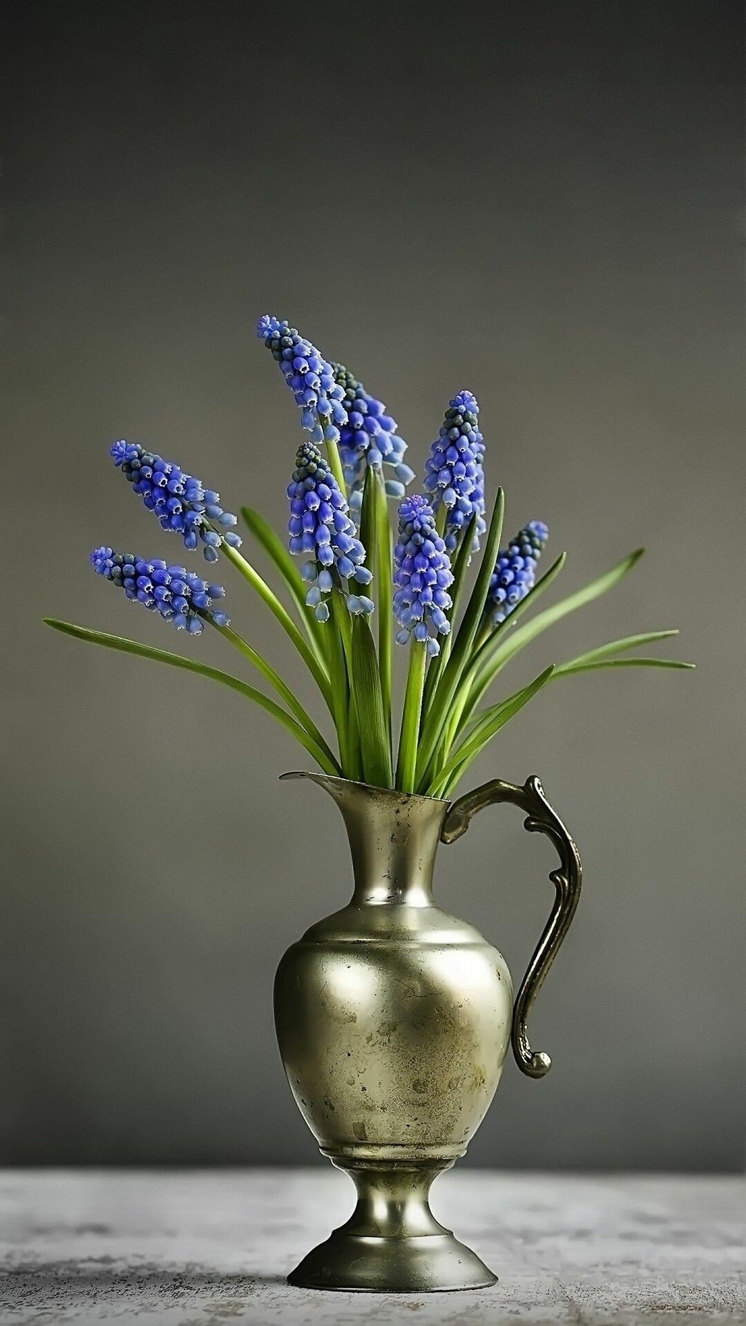 grape hyacinth flower bouquet wallpaper full hd phone