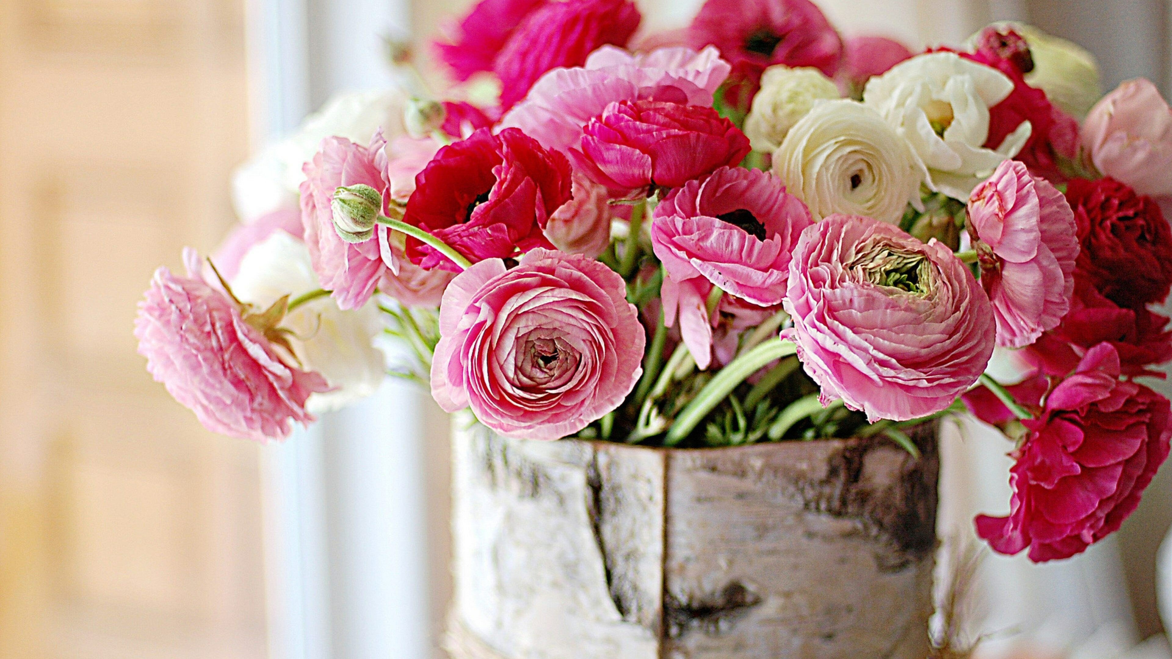 ranunculus flower bouquet wallpaper 4k desktop