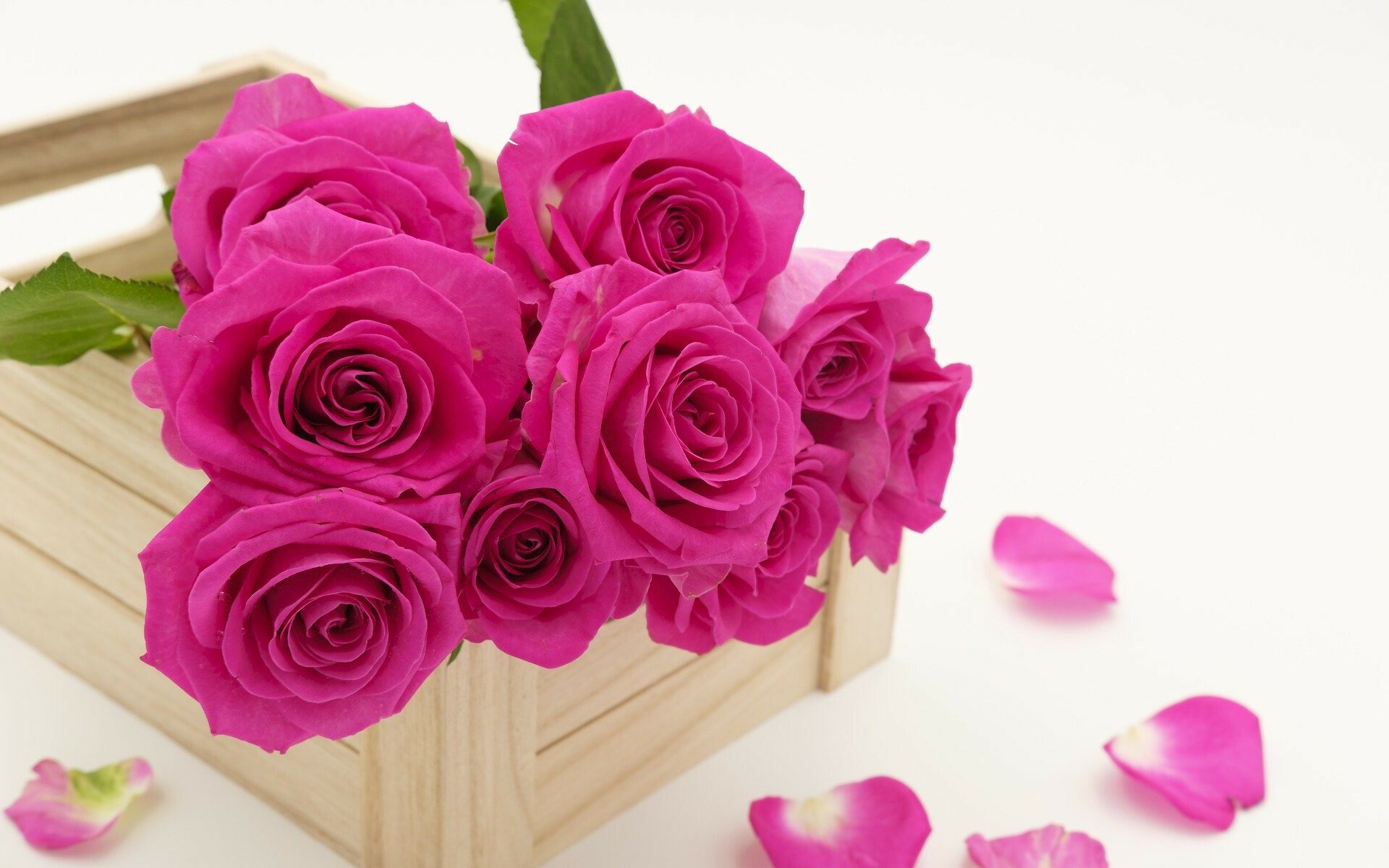 bouquet of pink roses wallpaper breathtaking beauty vibrant colors hd desktop