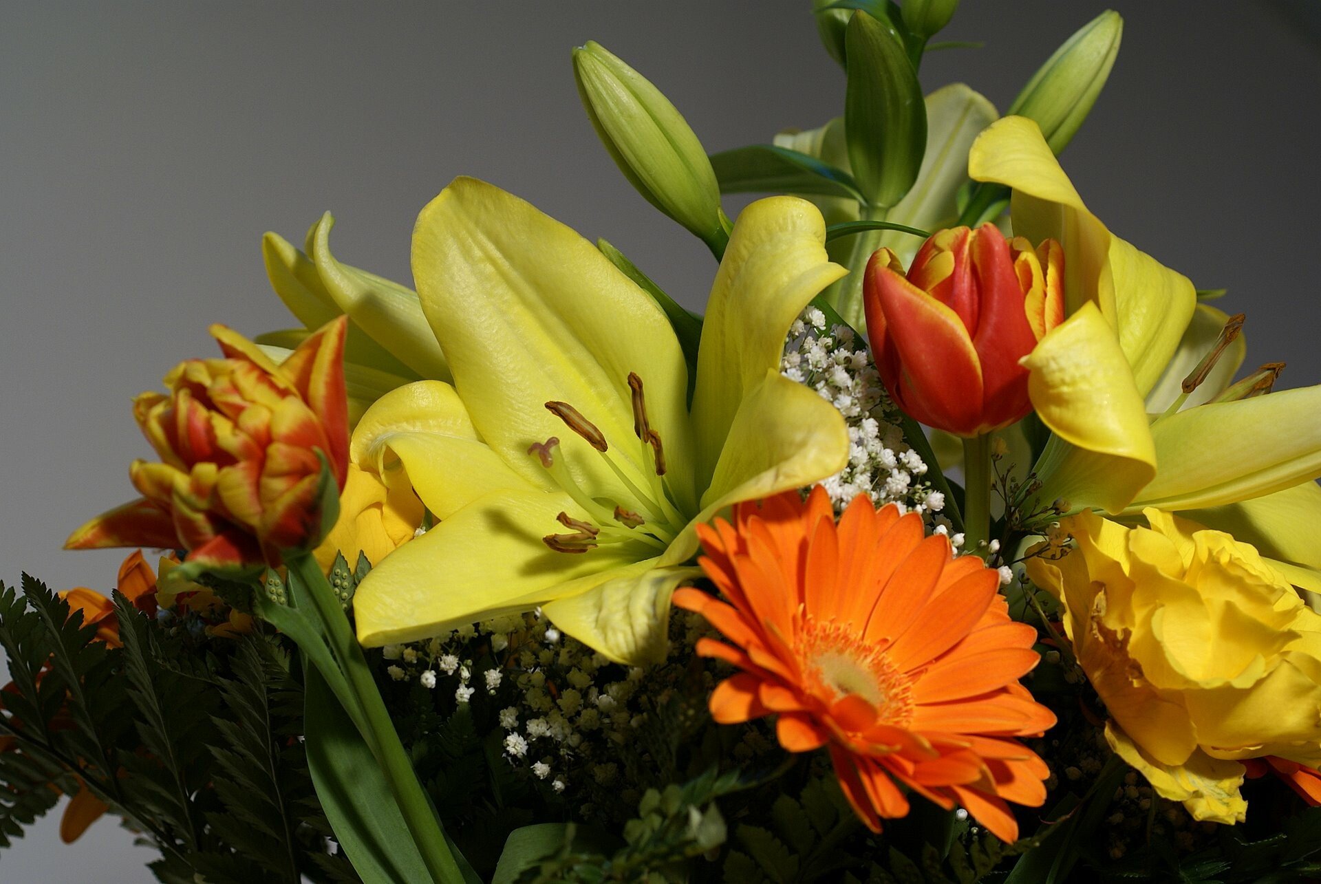 flower ensemble lovely blossoms delicate display beautiful bouquet hd desktop